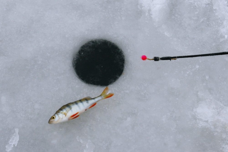 fish lying next to an ice hole.