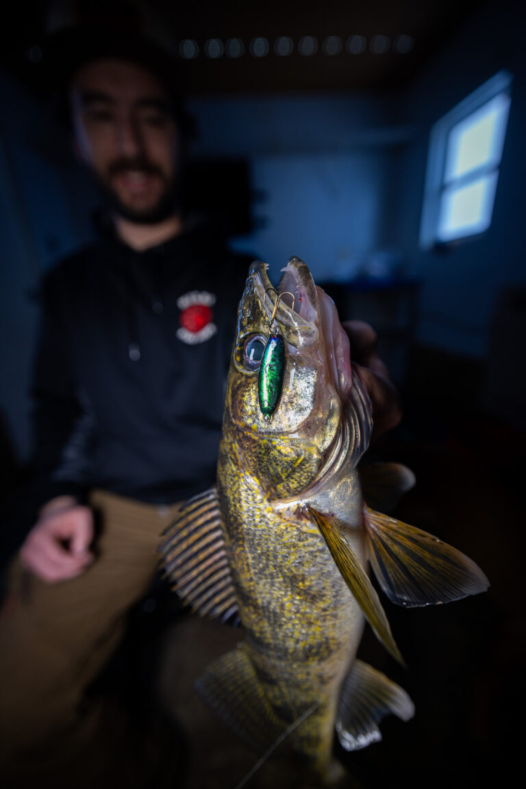Walleye Close Up Green Jig Hooked Man holding a walleye with a green jig in its mouth inside a dim ice house.