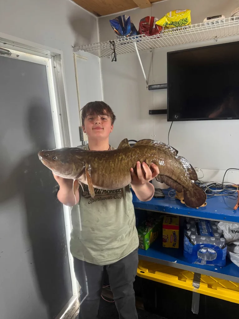 eelpout burbot catch river bend resort mn Young angler holding a large eelpout, also called burbot, caught while ice fishing.