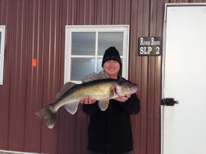 Guest holding a walleye.