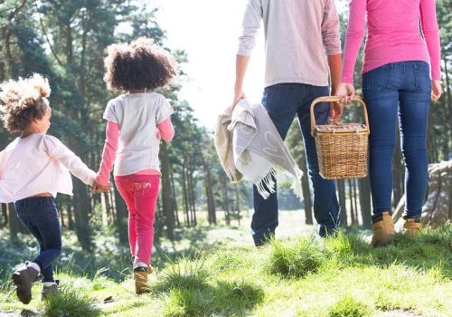 family with picnic basket walking.